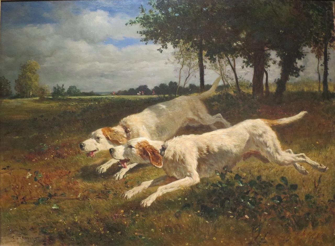 Cani da corsa - Museo Puškin delle belle arti